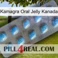 Kamagra Oral Jelly Canada viagra3